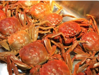 螃蟹要如何挑选|告诉你4个小方法