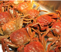 螃蟹要如何挑选|告诉你4个小方法