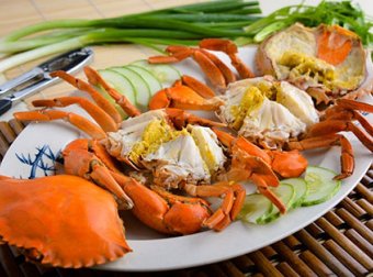 膏蟹怎么选|膏蟹的选购技巧