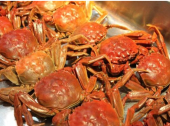 螃蟹要如何挑选|告诉你4个小方法