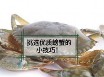 阳澄湖大闸蟹价格如何?最佳吃蟹时间是啥时候?