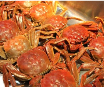 螃蟹要如何挑选|告诉你4个小方法