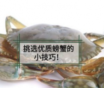 选蟹技巧|挑选优质螃蟹五看小技巧