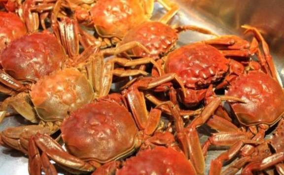 螃蟹要如何挑选|告诉你4个小方法
