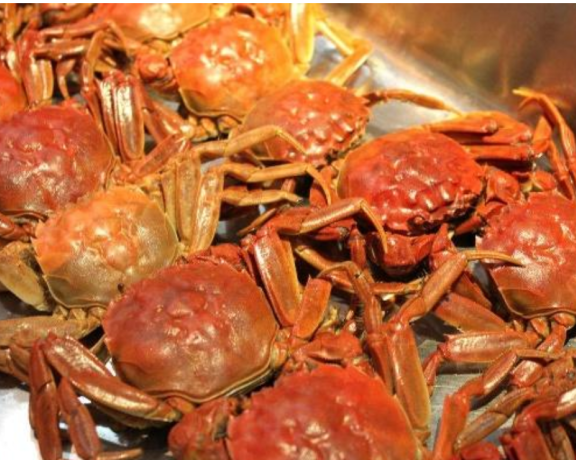 螃蟹要如何挑选|告诉你4个小方法