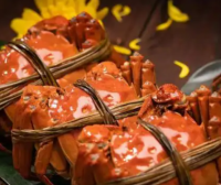 大闸蟹几月份上市,大闸蟹上市时间具体是什么时候