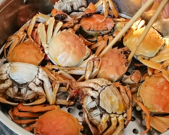 蒸出来的大闸蟹鲜香不腥气,膏肥肉厚,不掉腿不流黄!清蒸大闸蟹的小技巧